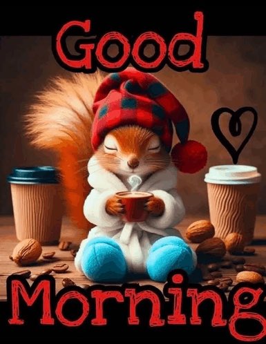 Donna Heintzman tweet media