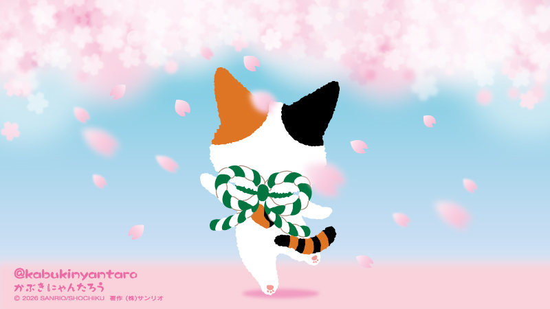 かぶきにゃんたろう【公式】 tweet media