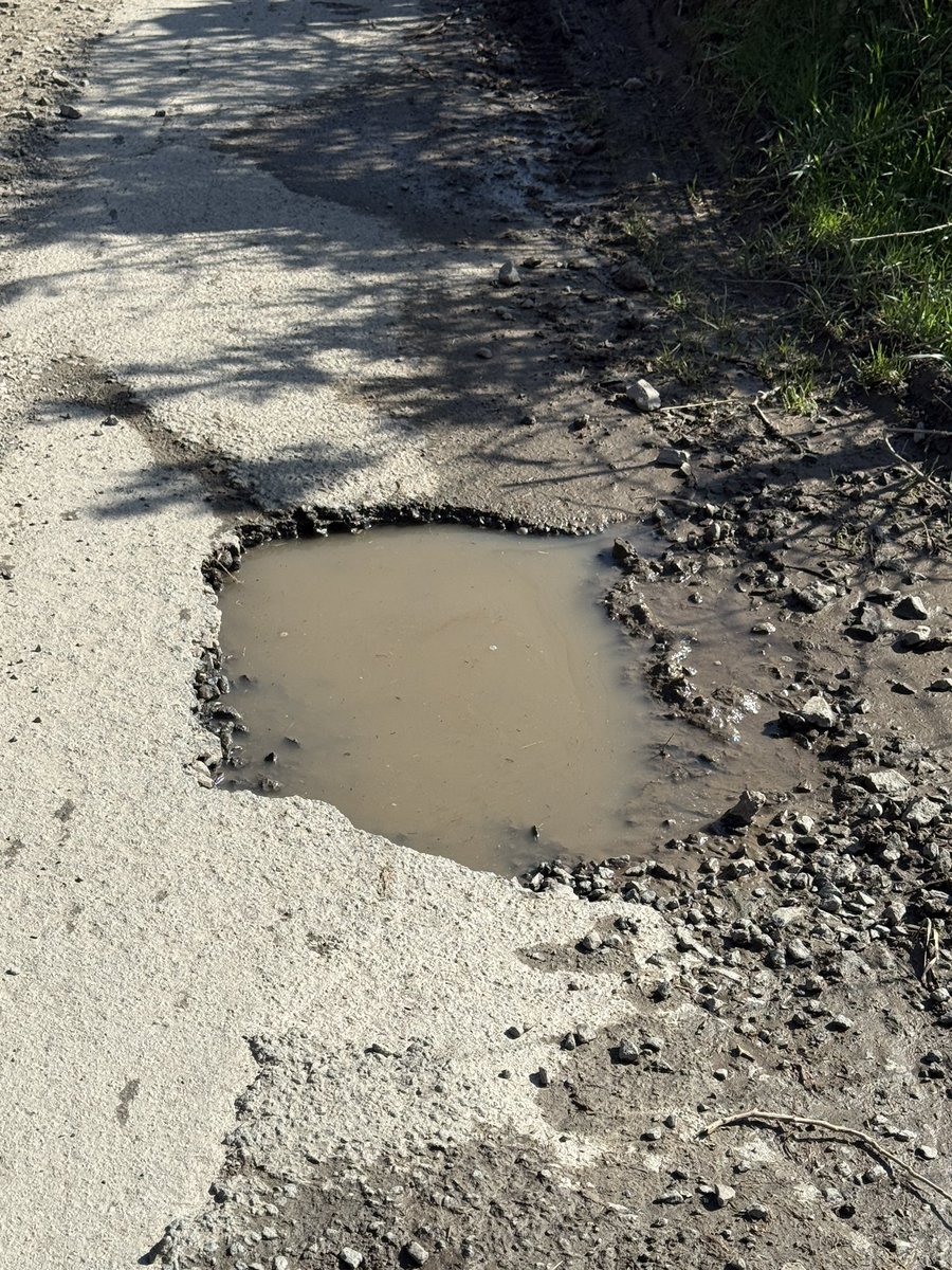 Jonathan Greatorex tweet media