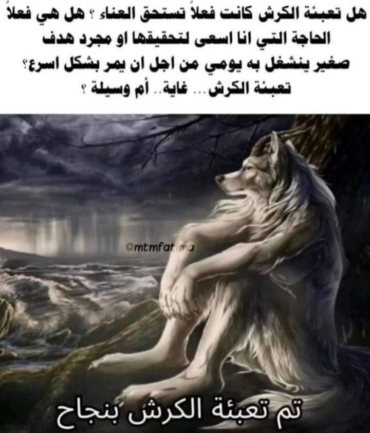 بيلي الجزار tweet media