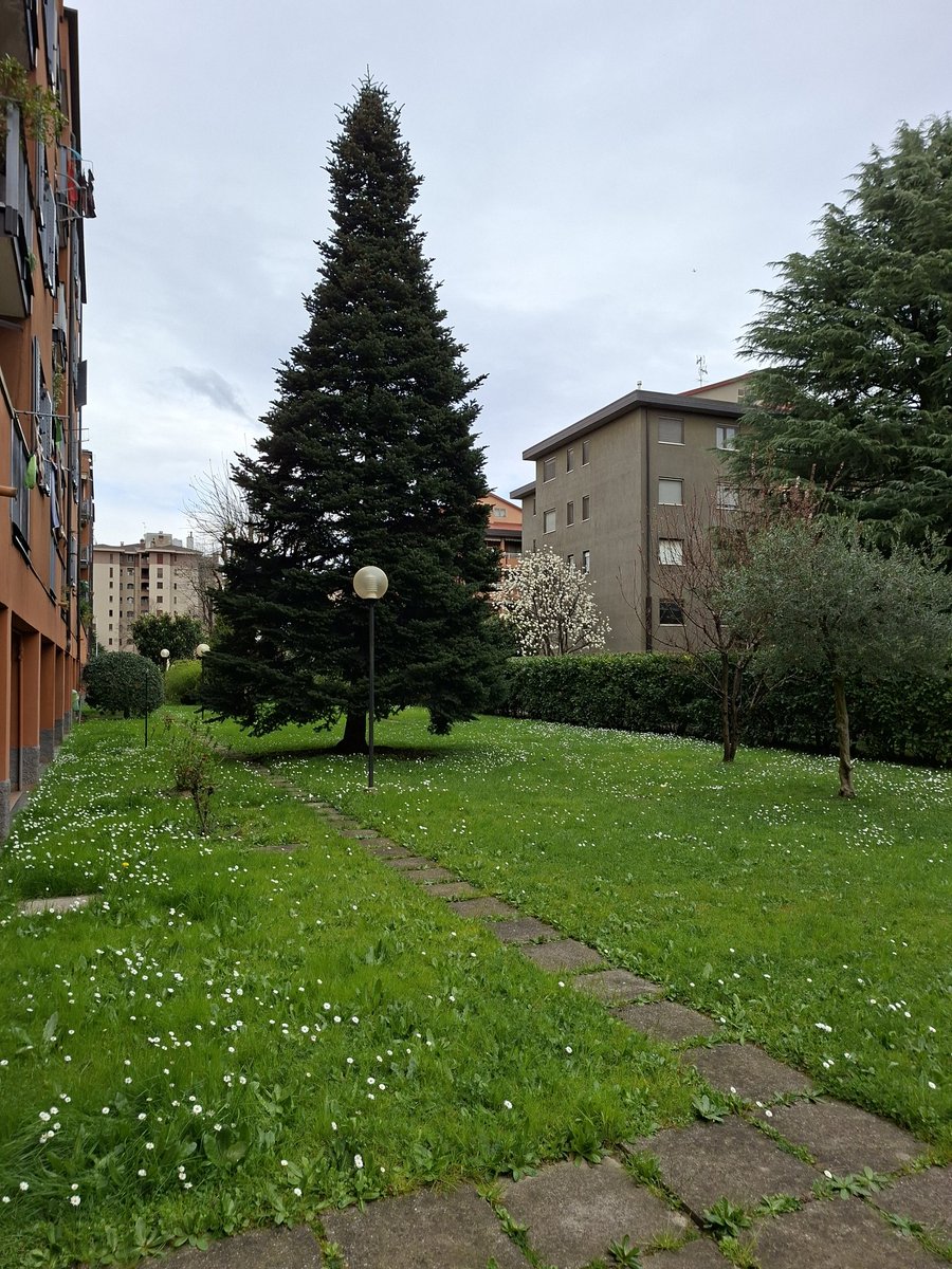 𝓢𝓸𝓰𝓷𝓸 tweet media