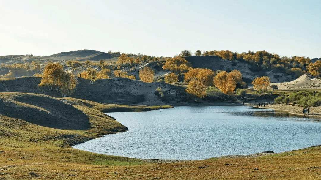 Hailey J 🌸 tweet media