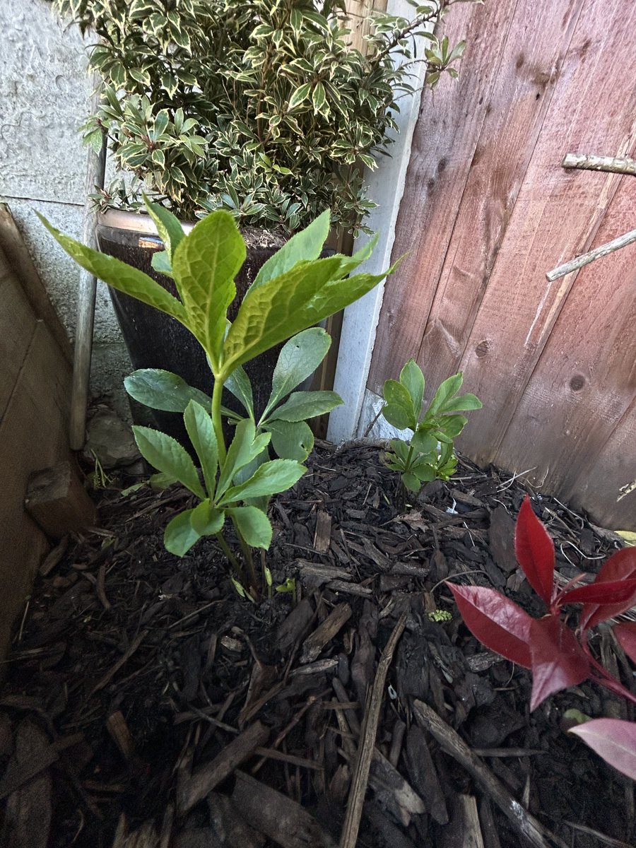 Kate Gordon tweet media