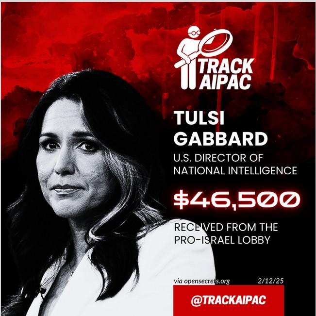 Vegandi Z tweet media