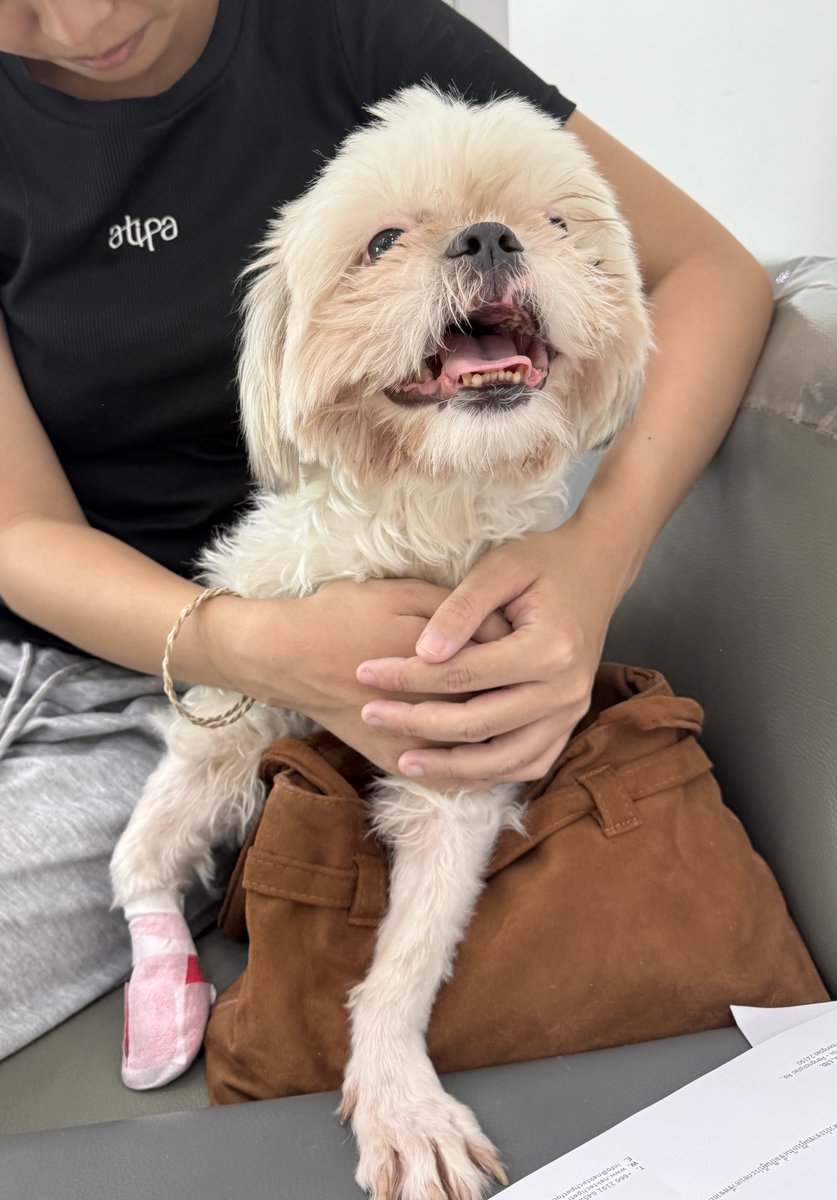 DNVP 💋 (Malonfamily) tweet media