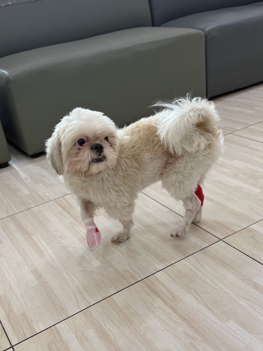 DNVP 💋 (Malonfamily) tweet media