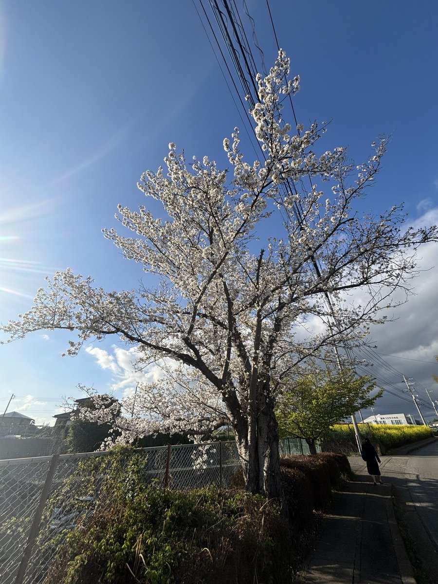 PKオタ店長@ABC浜松小池町店 tweet media