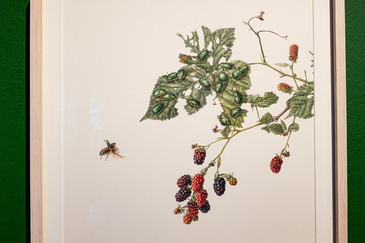 Lee Kong Chian Natural History Museum tweet media