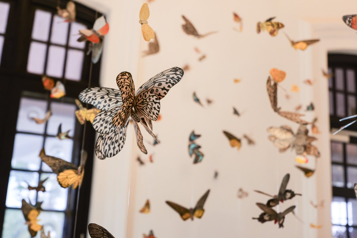 Lee Kong Chian Natural History Museum tweet media