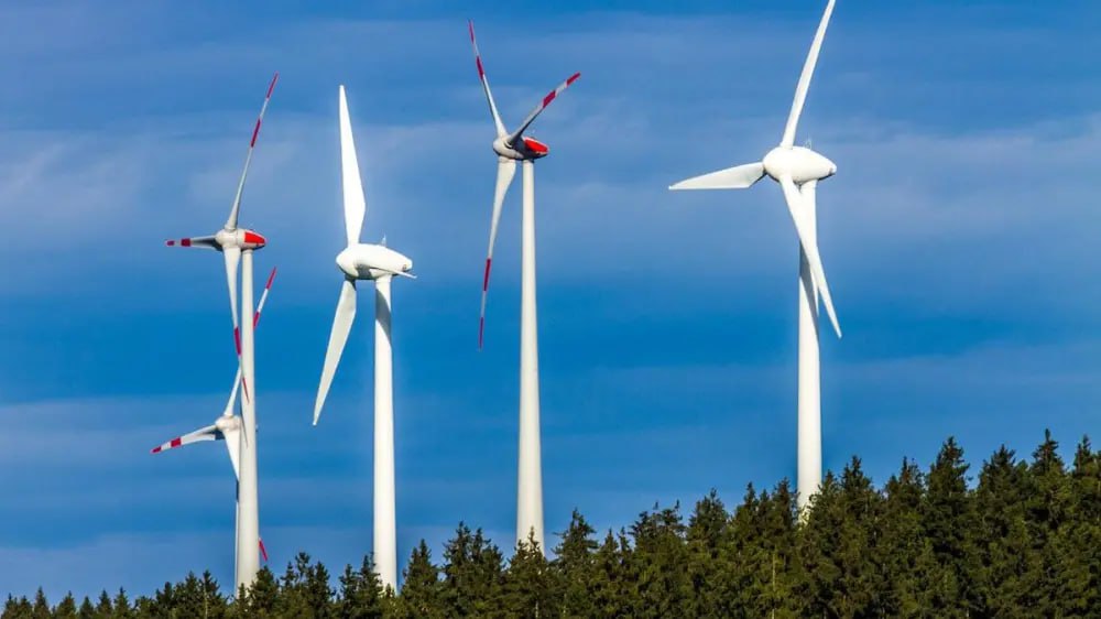 Christian Abel AfD tweet media