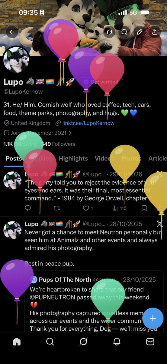 Lupo 🐺🇬🇧🏳️🌈🎢🚀 tweet media