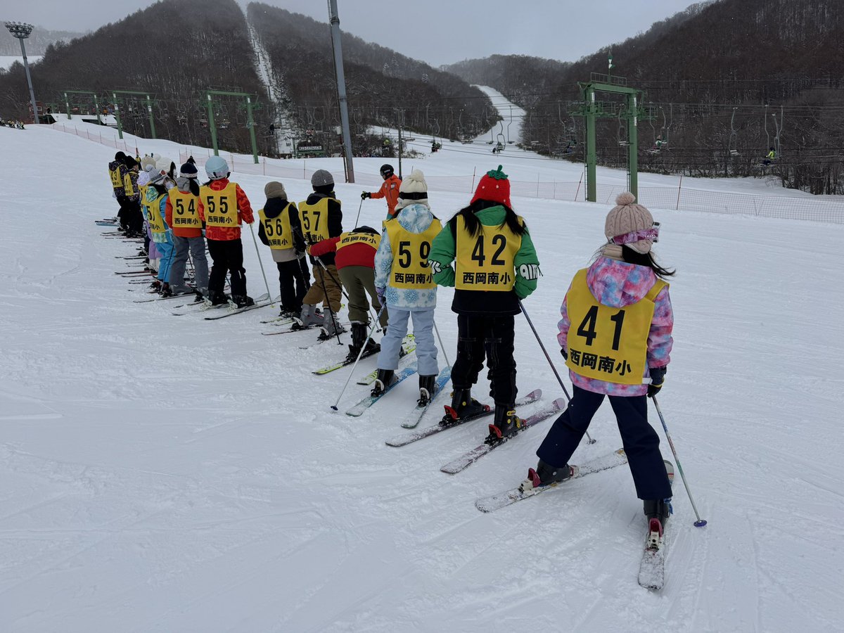 Hokkaido Dreamin'🇦🇺🇯🇵 tweet media