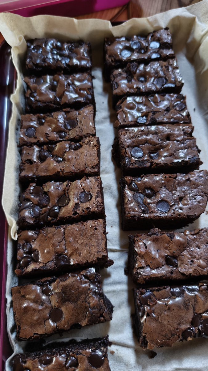 Orion✨ tweet media