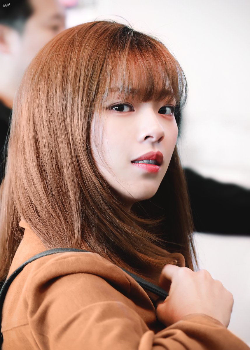 유앙글 tweet media