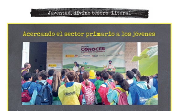 ASEDAS Supermercados tweet media