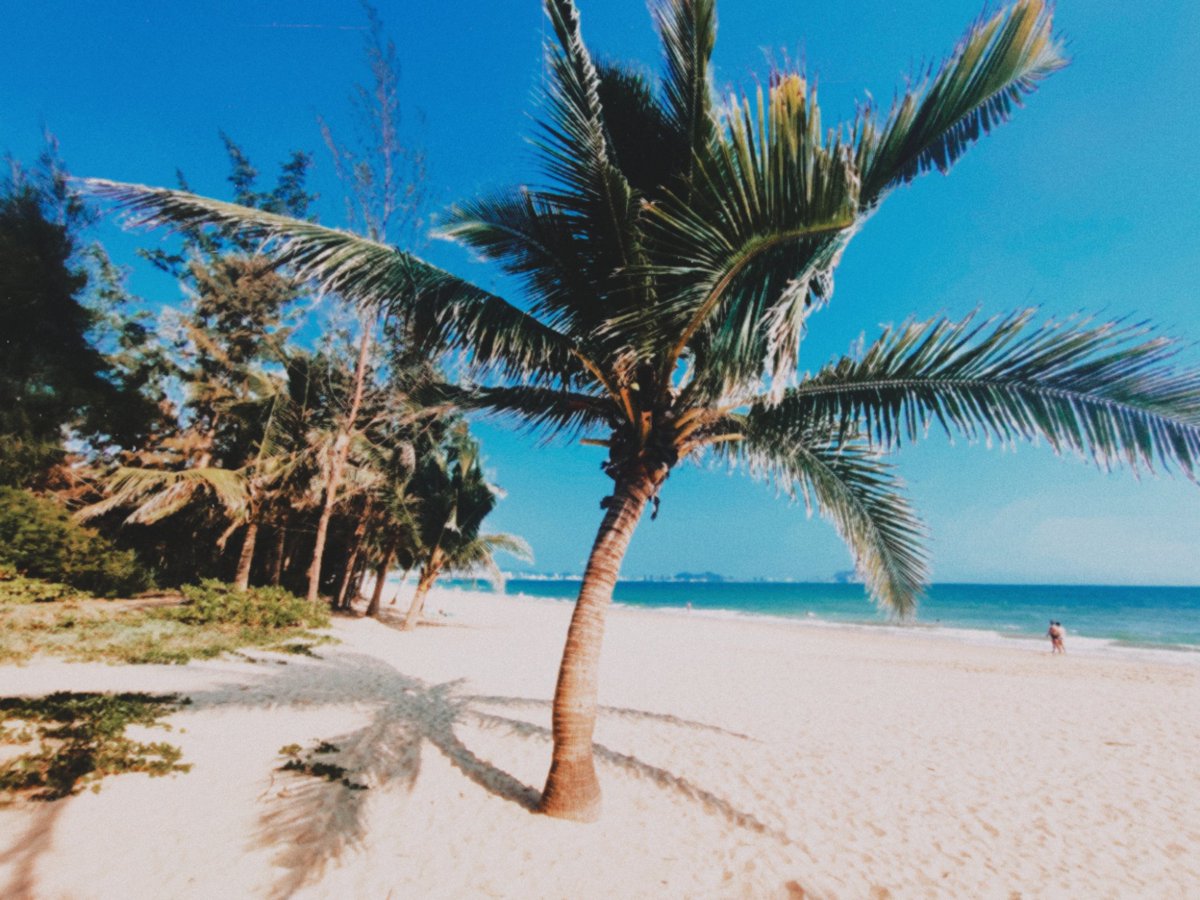 вернись в сорренто tweet media