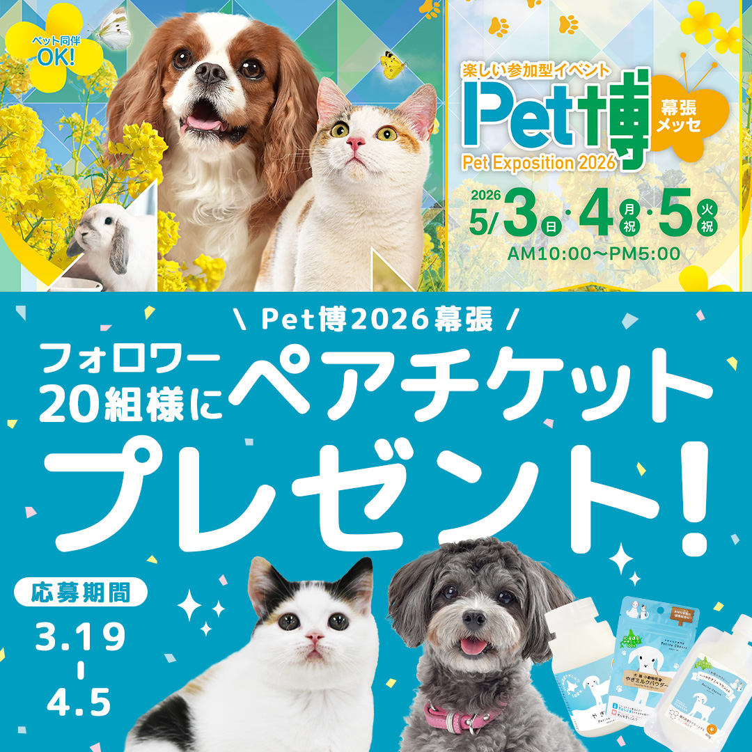 やぎミルク専門店プティ・シェーヴル🐐 tweet media
