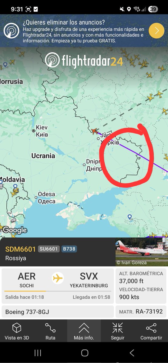 ddariiuss___ tweet media