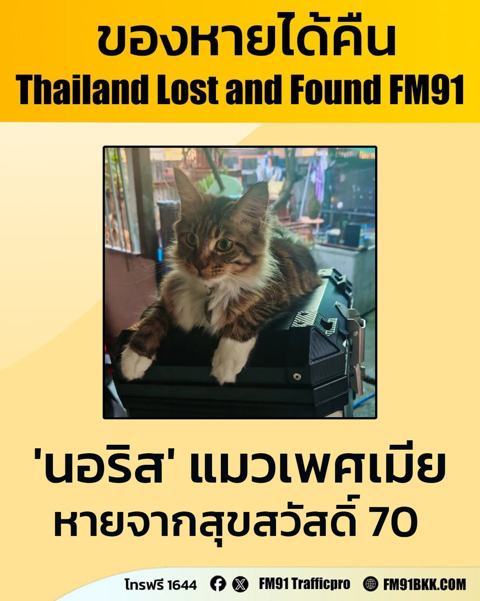 FM91 Trafficpro tweet media