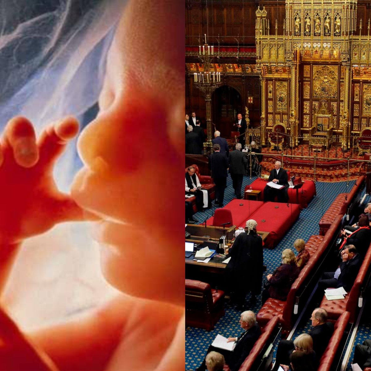 Epsilon 🏴󠁧󠁢󠁥󠁮󠁧󠁿 tweet media