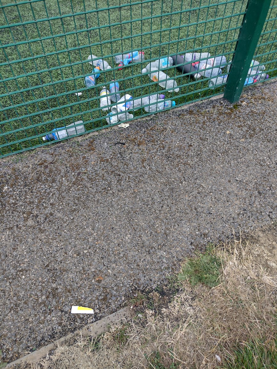 Sue Doxat tweet media