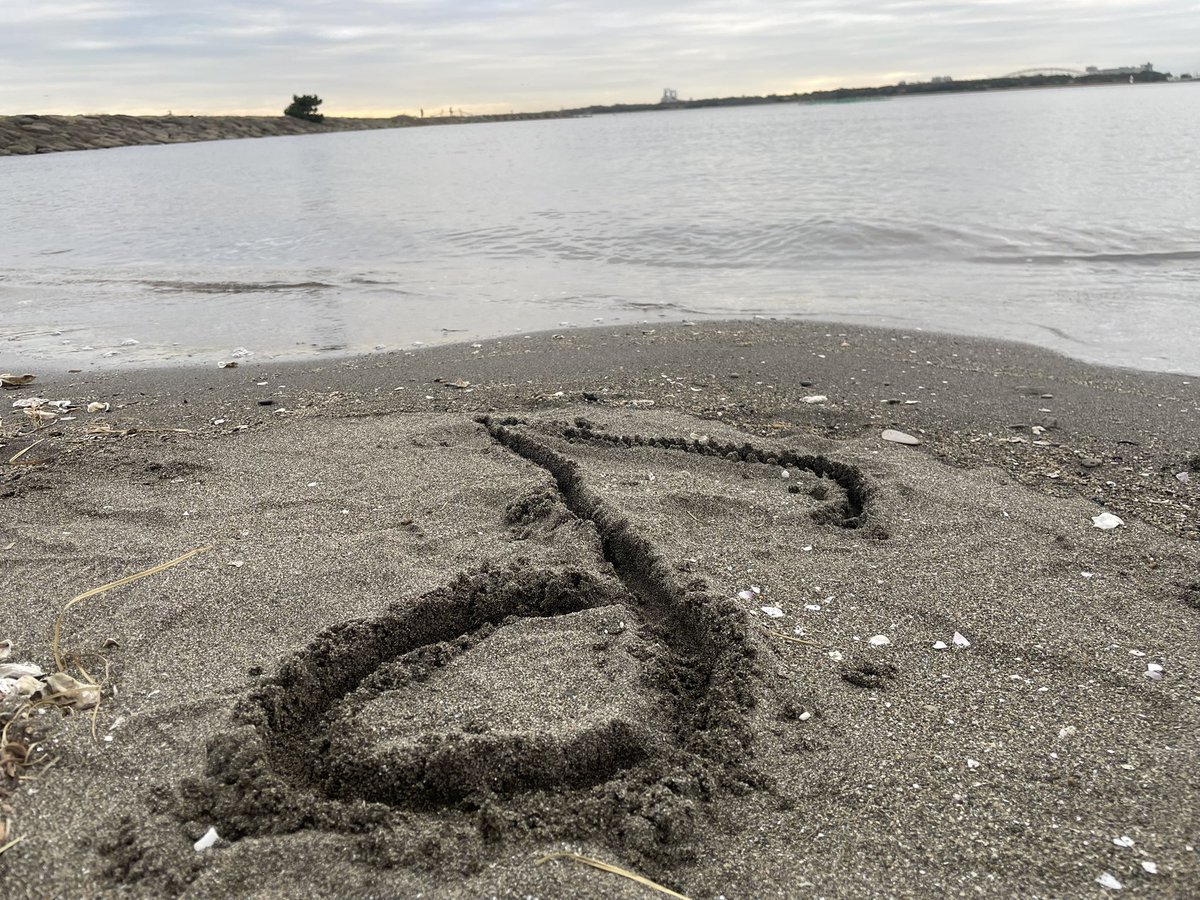 一葉 / Hitoha tweet media