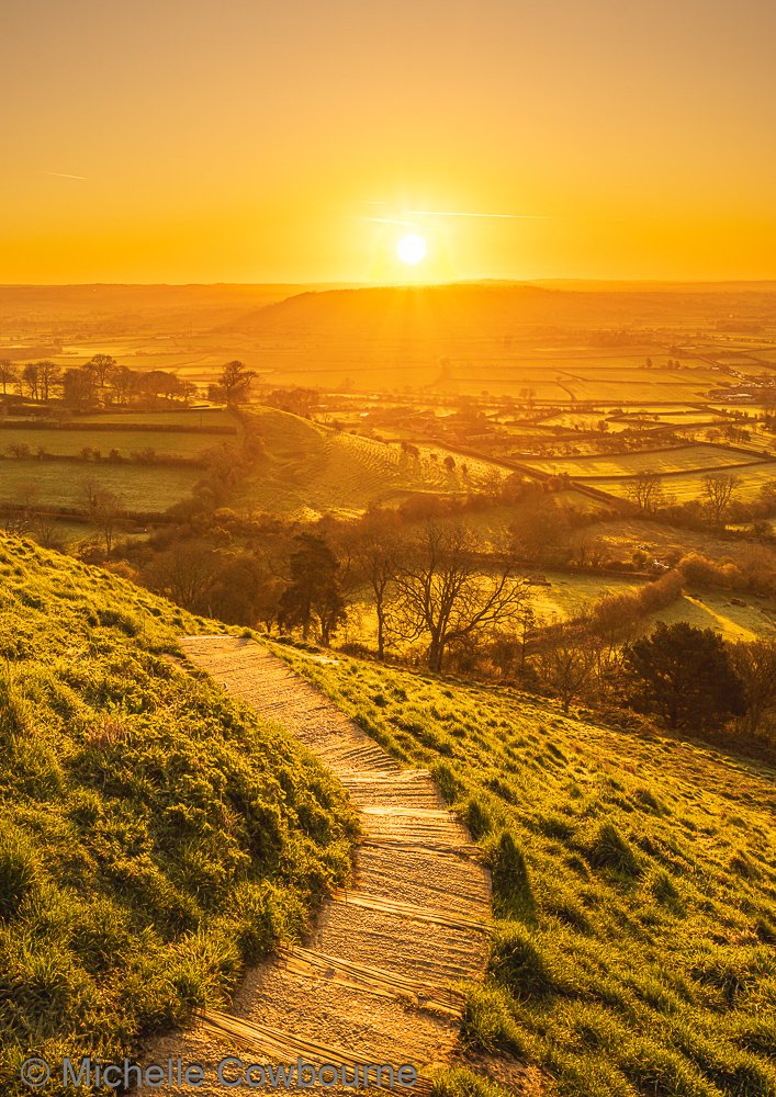 Michelle Cowbourne tweet media