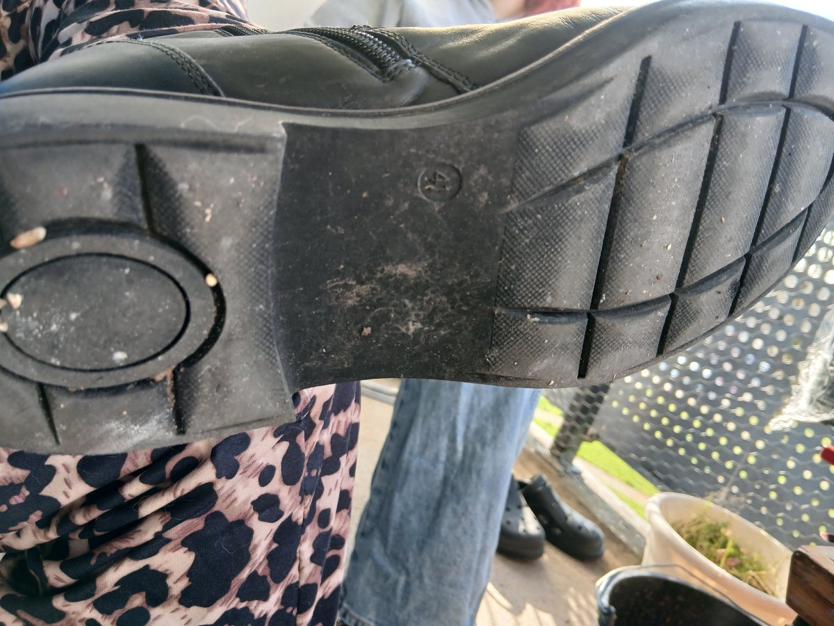 Goddess Freya tweet media