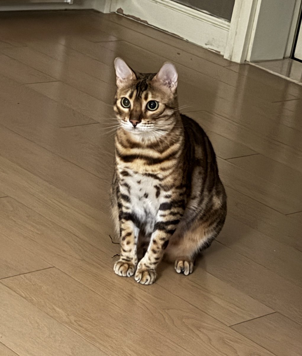 陈一发儿 tweet media