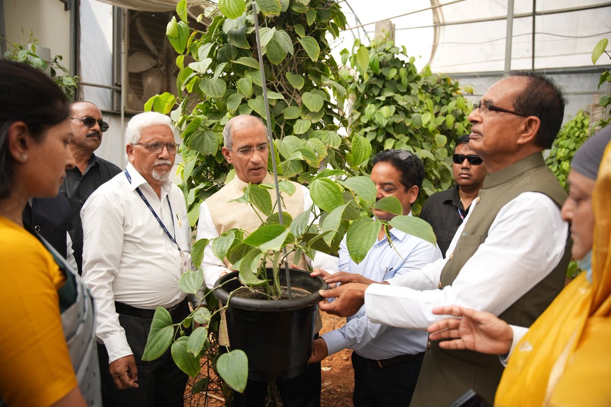 Office of Shivraj tweet media