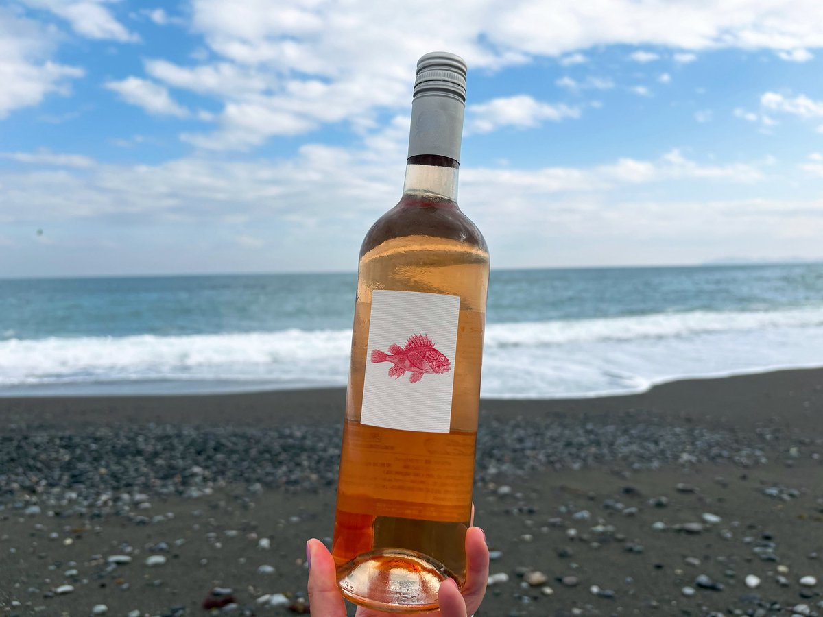 おりえ（2026販売中🐶🗓️） tweet media