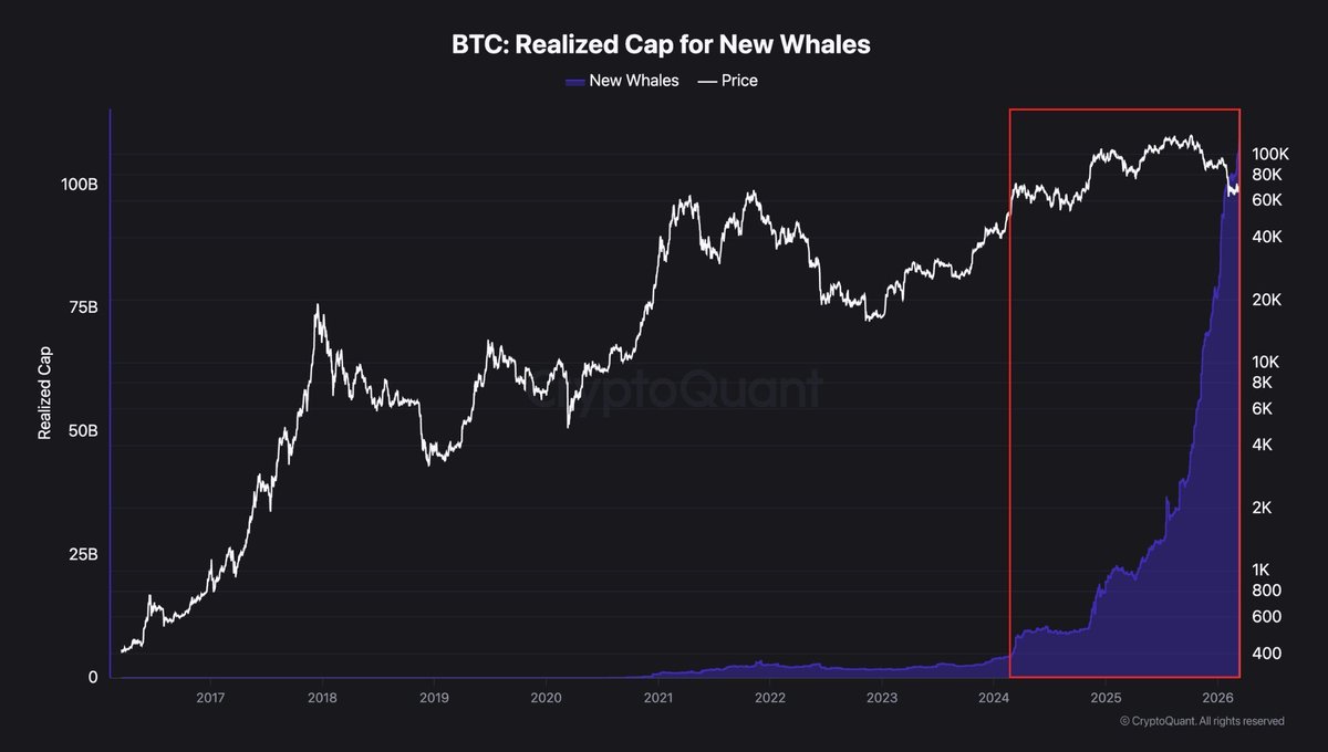Crypto Rover tweet media