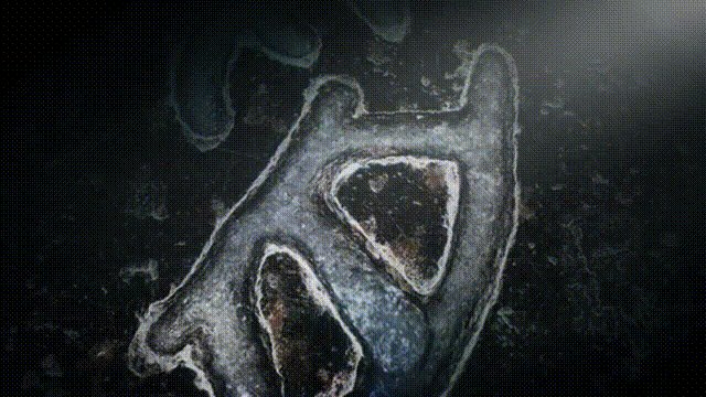 Beverly Blais tweet media