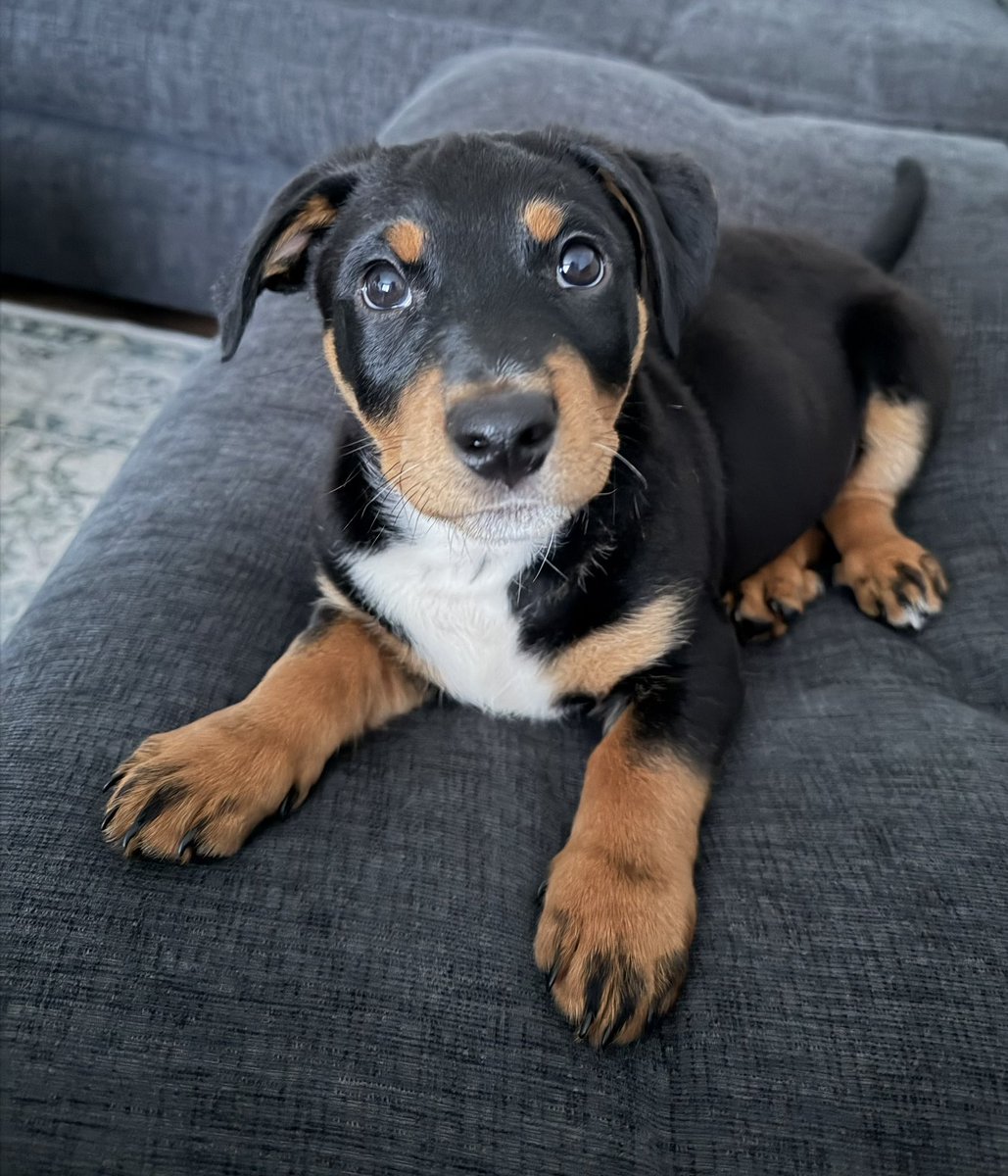 My perfect little guy