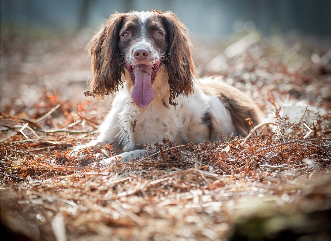 Janet Bray tweet media