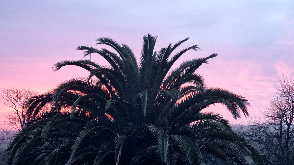 ⚓ CéLine Made In Bzh tweet media