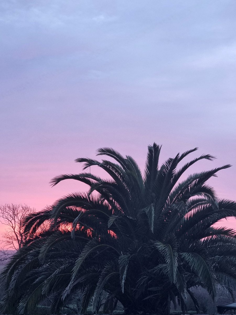 ⚓ CéLine Made In Bzh tweet media