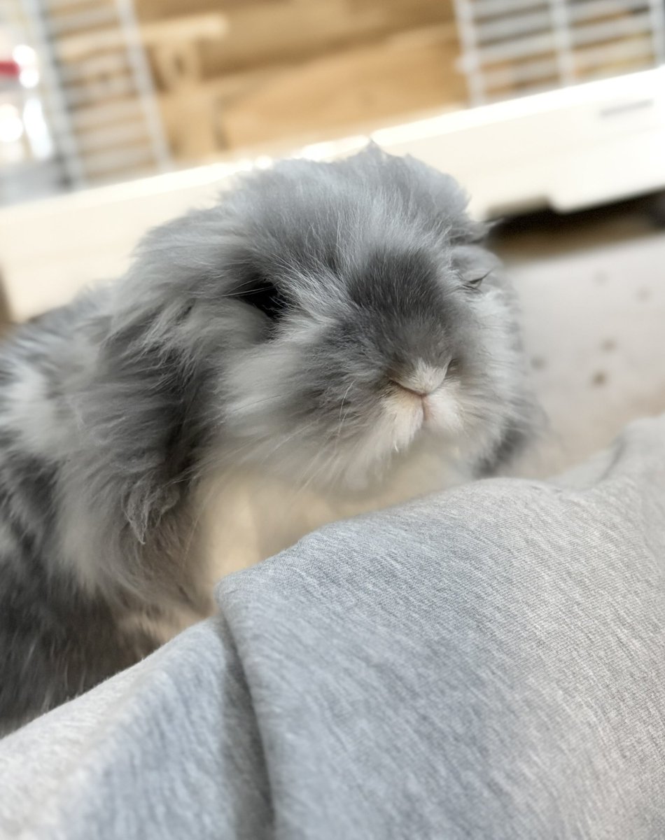 むぅもこ tweet media