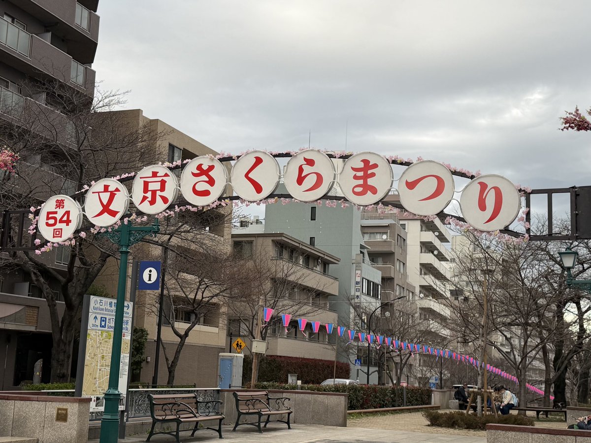 文京花めぐり公式【文京区観光協会・文京区共催】開花情報も随時発信中❣️ tweet media