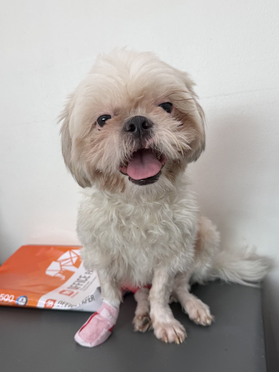 DNVP 💋 (Malonfamily) tweet media