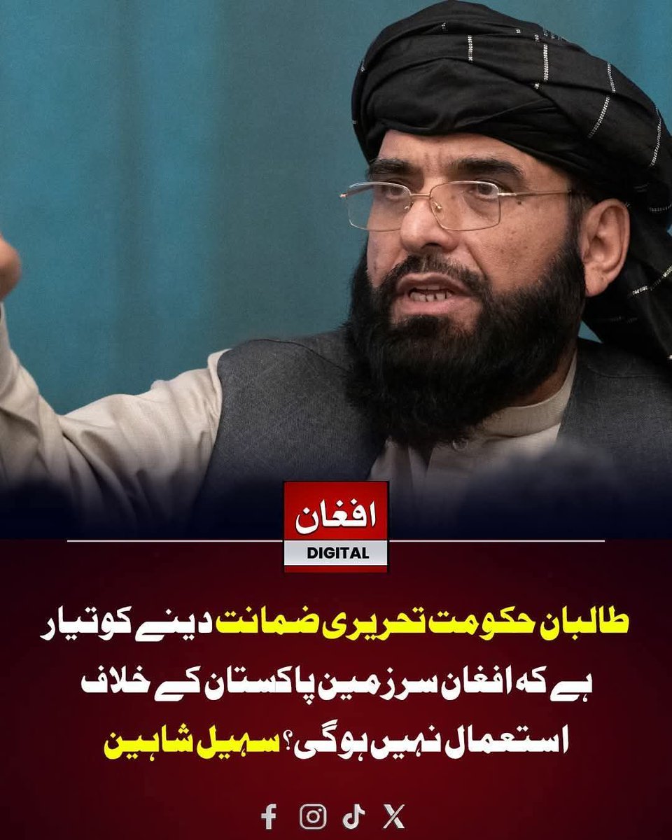 shamsher gondal tweet media