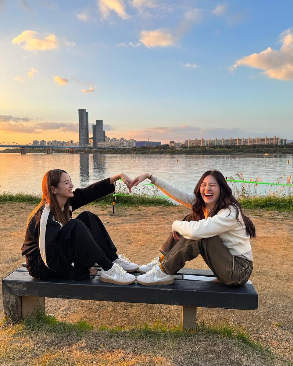 레조네 tweet media