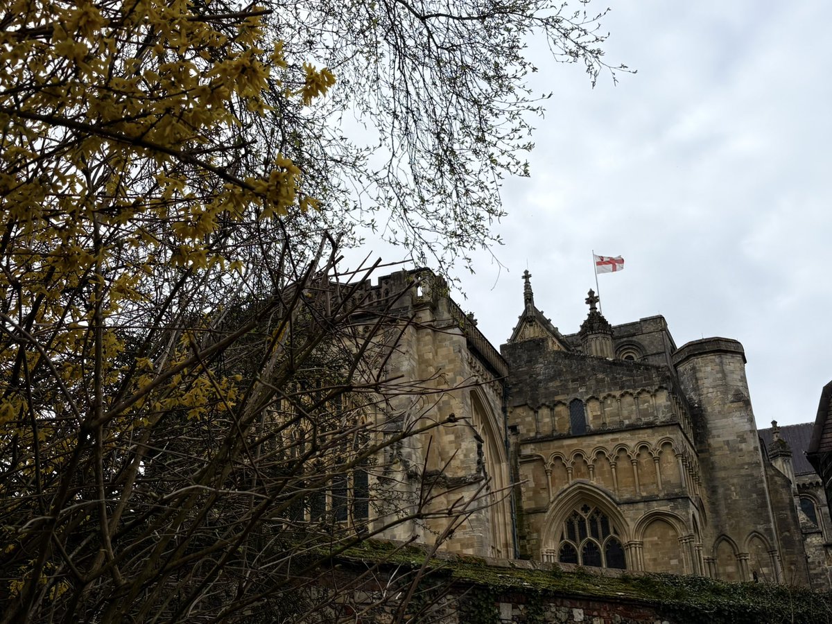 𝐉𝐈𝐋𝐋 tweet media