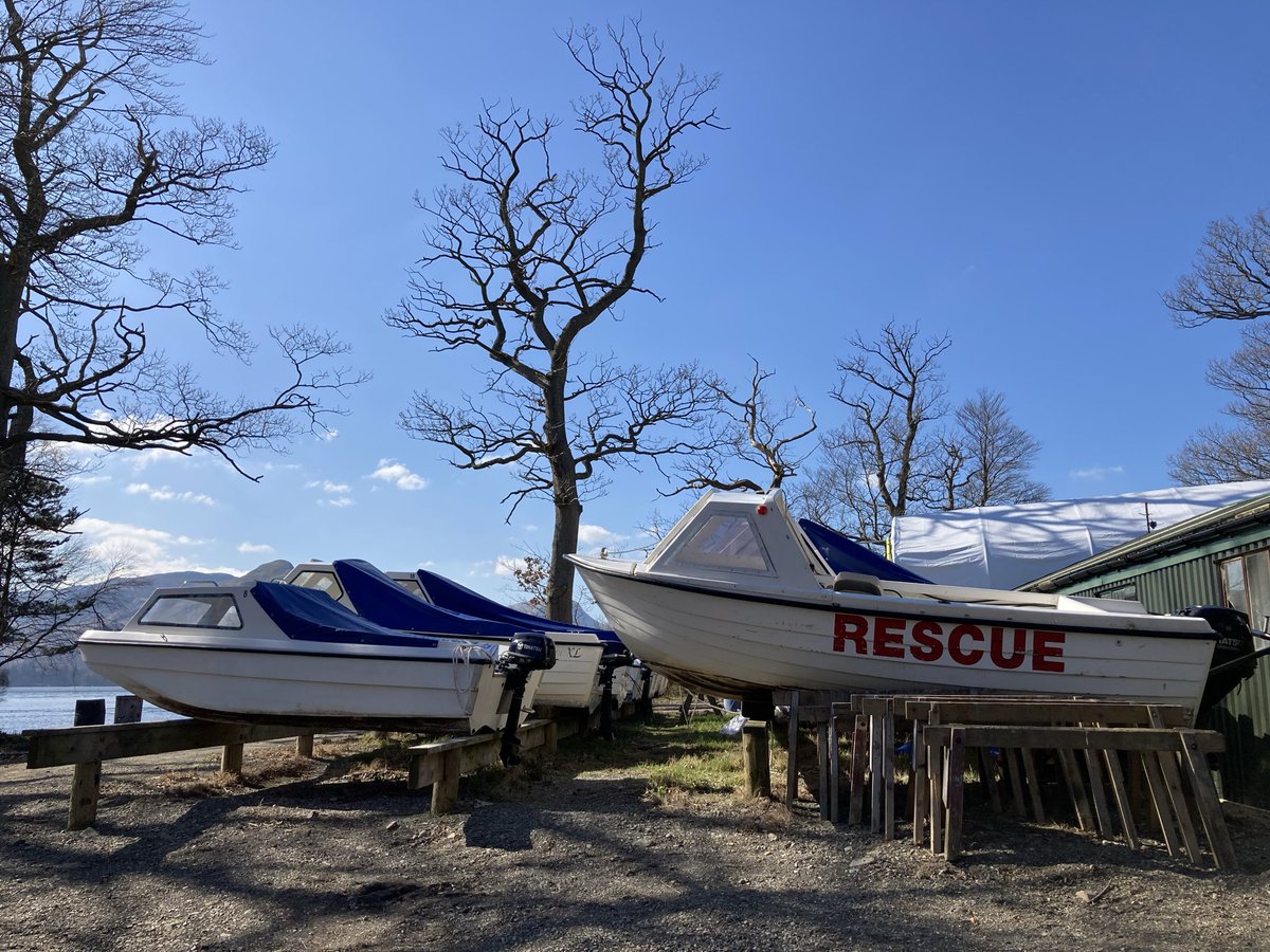 RFJ💙 🇺🇦 tweet media