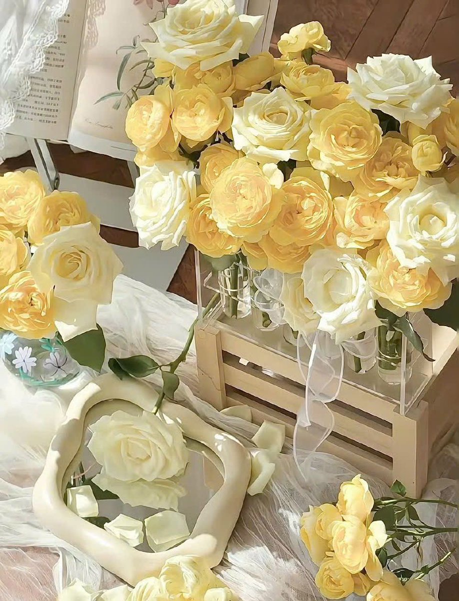 레조네 tweet media