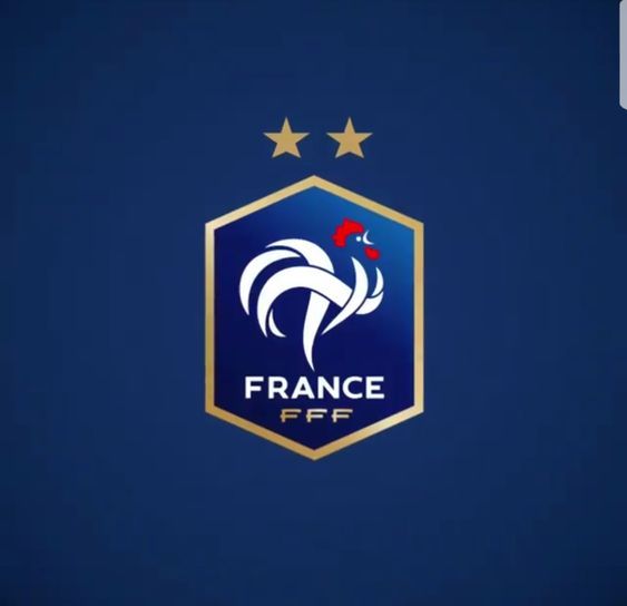 Madrid Zone tweet media