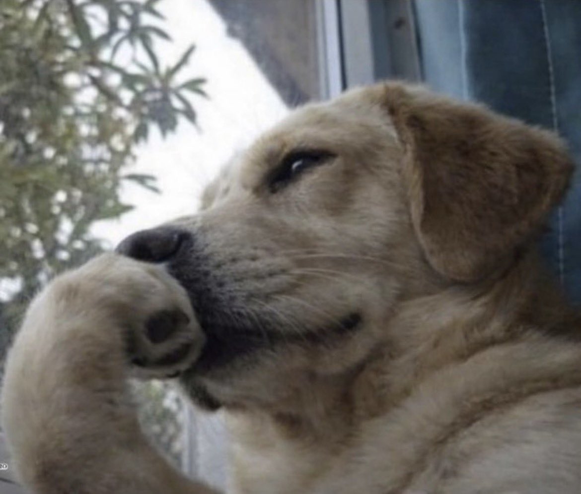 easybash tweet media