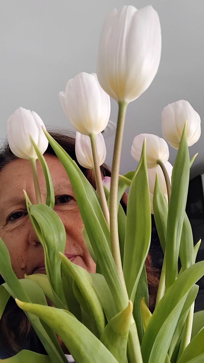 rosepa60's tweet photo. https://t.co/86QSV61wmv