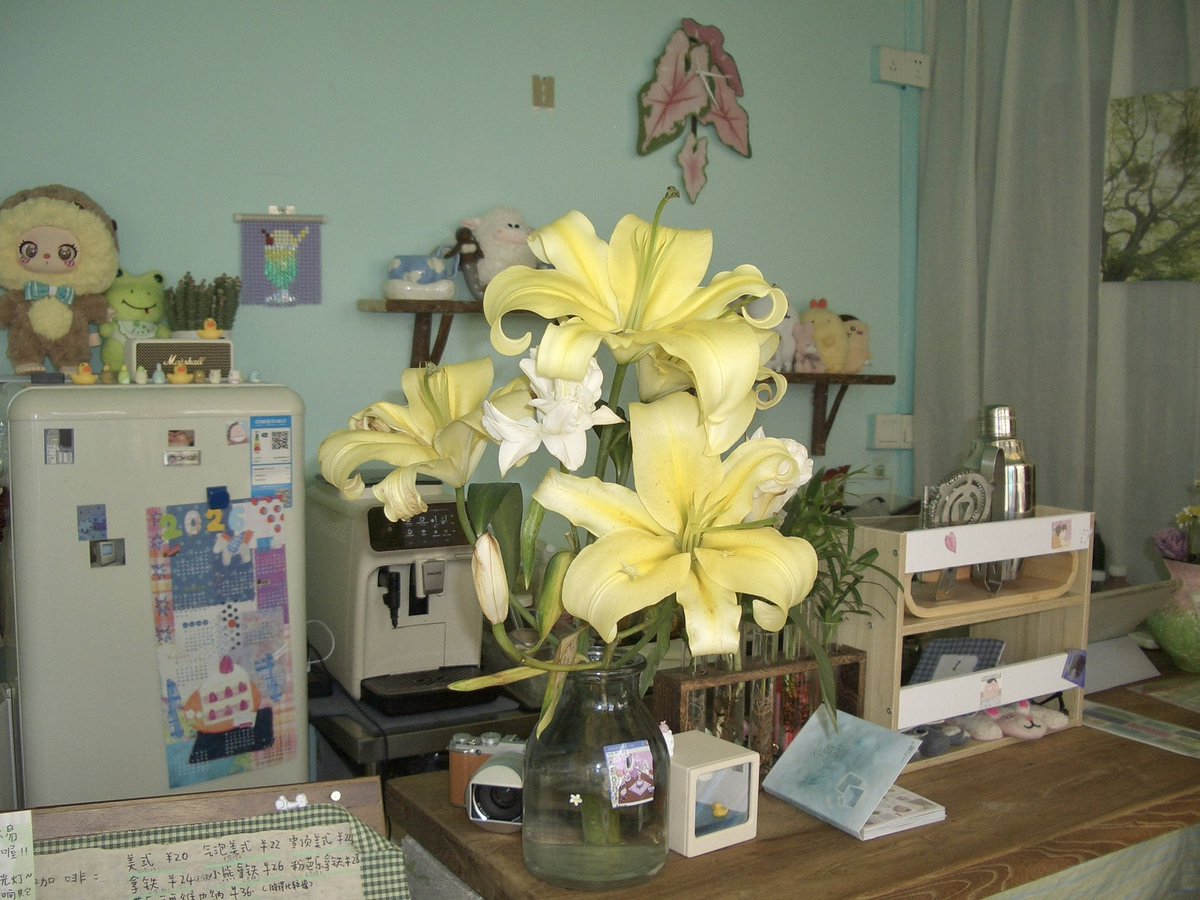 北长尾山雀 tweet media