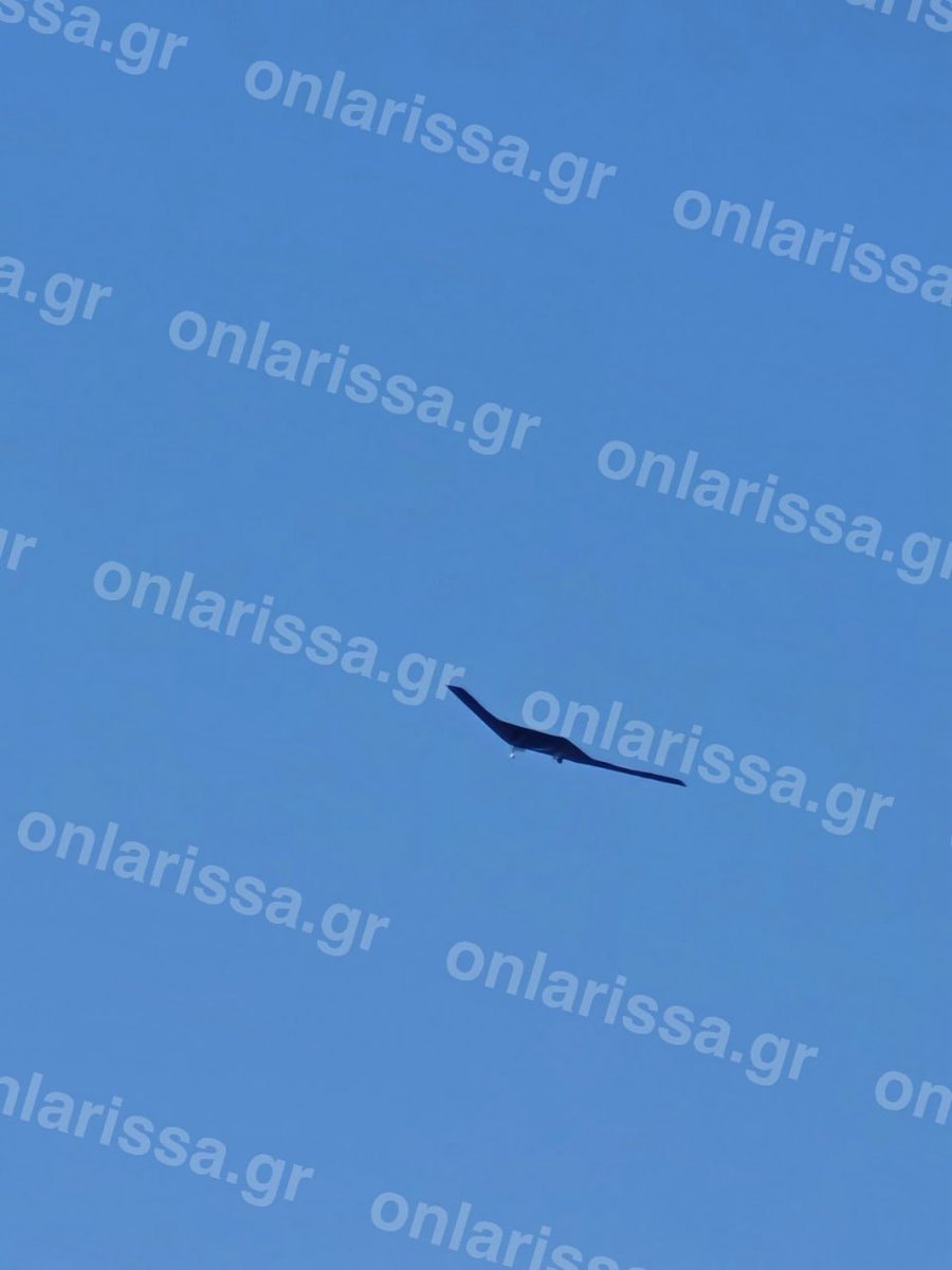 Defense Intelligence tweet media